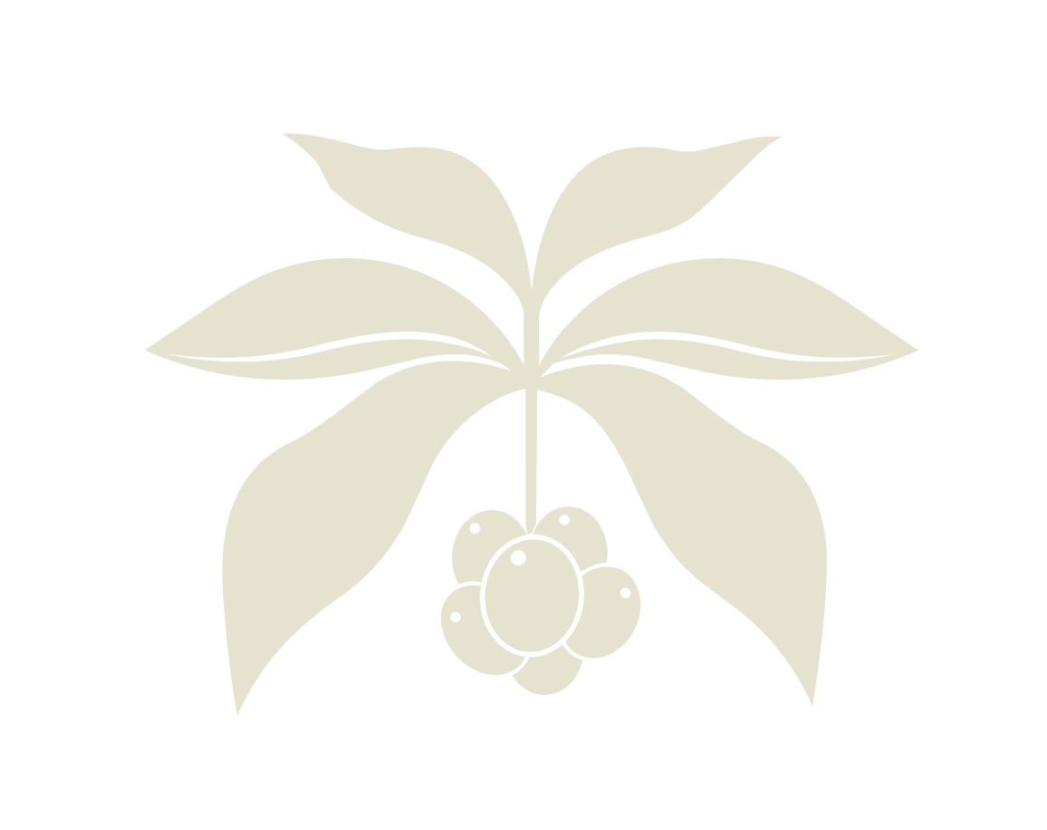 Eje Café